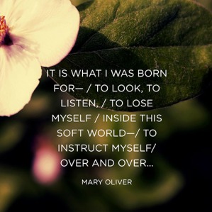 quotes-passion-mary-oliver-480x480