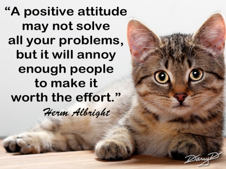 Attitude Positive Worth It by Darry D