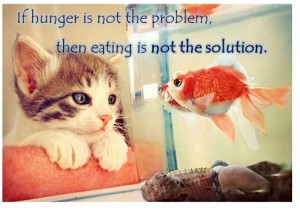 ANB_Hunger-vs-Eating4-300x211